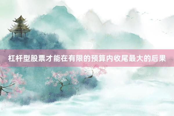 杠杆型股票才能在有限的预算内收尾最大的后果