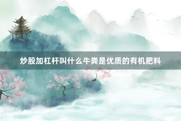 炒股加杠杆叫什么牛粪是优质的有机肥料